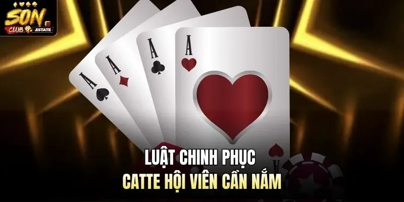 Luật chinh phục catte hội viên cần nắm